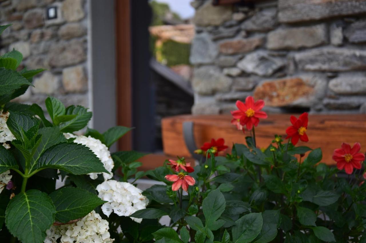 La Volta - Lake Como Heritage Home In Molino Maufet Watermill - Patio On The Garden Colico Ngoại thất bức ảnh